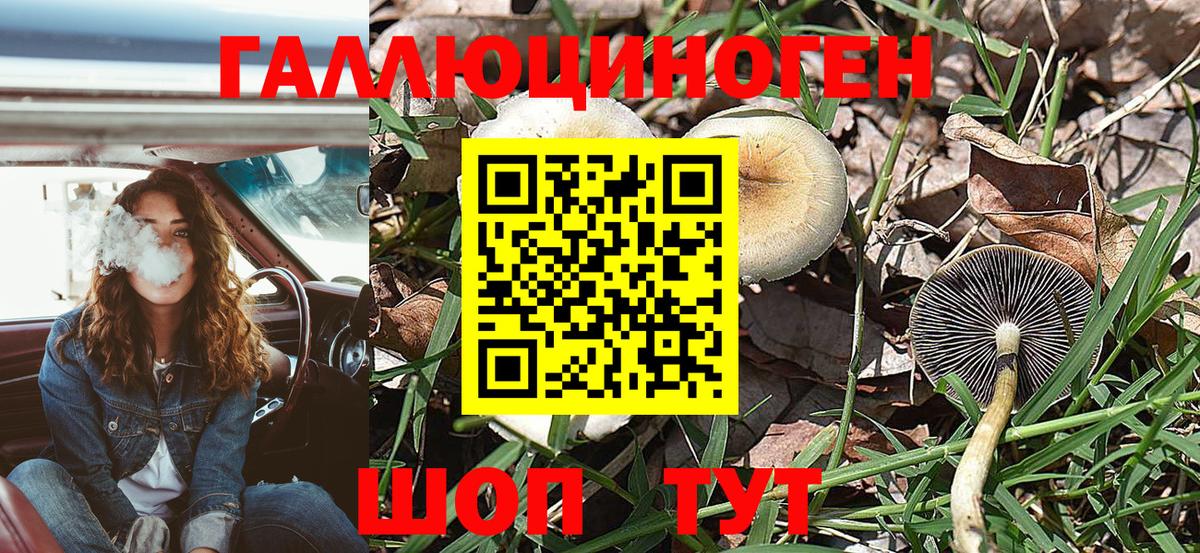 Псилоцибиновые грибы GOLDEN TEACHER  Вход с VPN  Галлюциногенные грибы Psilocybe  Гусиноозёрск 