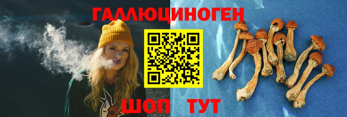 Псилоцибиновые грибы Magic Shrooms Гусиноозёрск